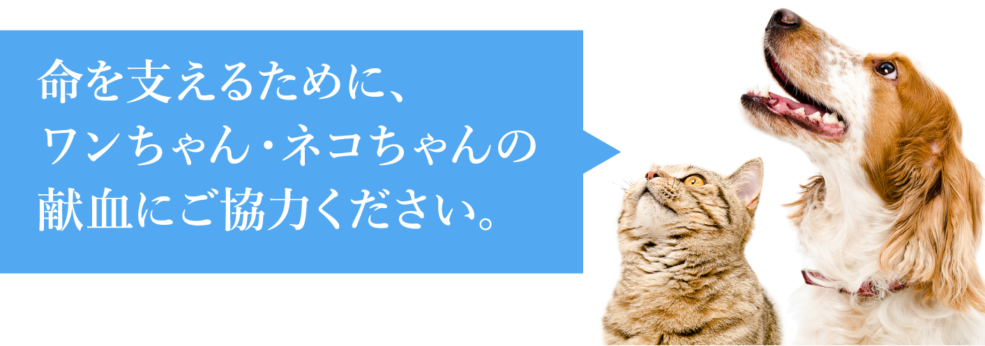 命を支えるために、ワンちゃん・ネコちゃんの献血にご協力ください。