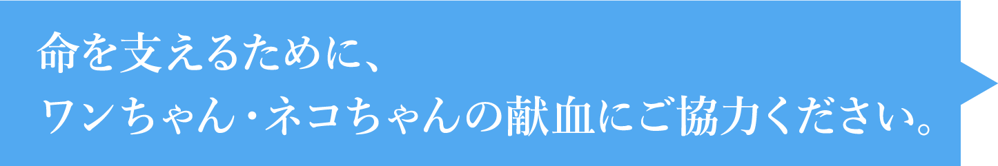 命を支えるために、ワンちゃん・ネコちゃんの献血にご協力ください。